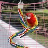Bird Perch- Cage Rope for Parrot/Parakeet/Cockatiel Bungee Toy Comfy Colorful