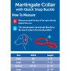 PetSafe Martingale Dog Collar with Quick Snap Buckle