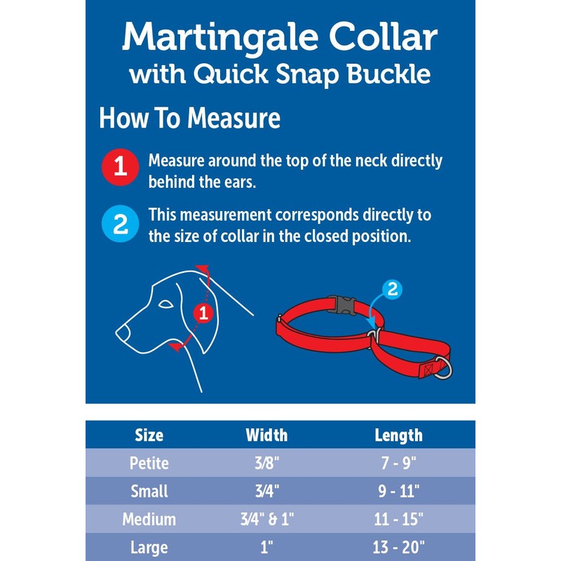 PetSafe Martingale Dog Collar with Quick Snap Buckle
