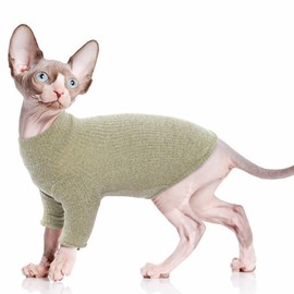 PUMYPOREITY Lightweight Sweaters for Cats, Cat Jumpsuit Recovering from Surgeries or Skin Conditions(Green, L)