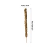 Moss Pole Coconut Stick DIY Modeling Plant Climbing Pole Climbing
