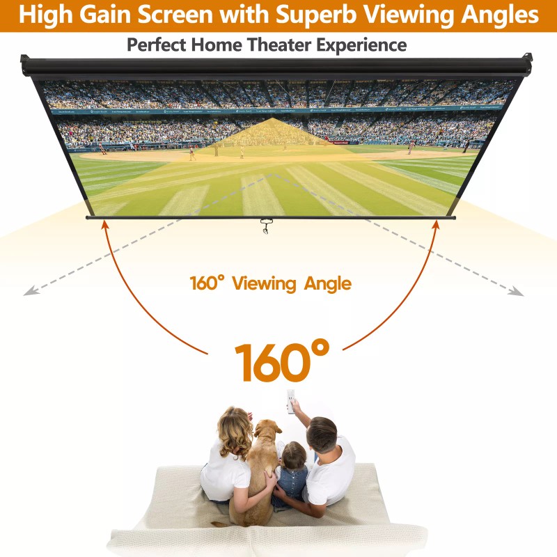 SEGAWE 72" Diagonal Dimension Pull Down Projection Movie Theater Screen
