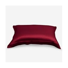 Waterlily 100% Mulberry Silk Pillowcase Oxford Pillowcases for Hair and Skin Envelope 50x75cm Both Sides 19momme Charmeuse Soft Natural Organic Luxury Pillow Case Cover (1, Burgundy)