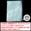 FLE-002 Zippered File Case, A5, Set of 5 Colors, Mesh,