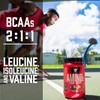 BSN Amino X Muscle Recovery & Endurance Powder with BCAAs,