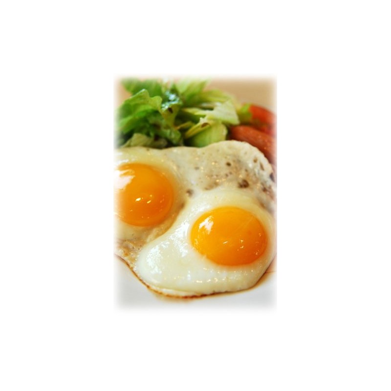 東洋セラミックス 波佐見焼 (有田焼) 醤油スプレーボトル 椿