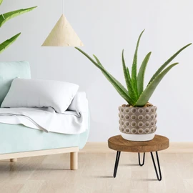 OBTAIN Plant Stand Indoor Outdoor Wood Mid Century Plant Stand for Indoor Plants, Modern Plant Table Round Plant Stool, Boho Rustic Wooden Stool for Plant Pot Hol (L)
