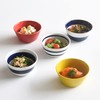 natural69 小鉢 5 Set of 10 X/Tall 4 cm Hasami