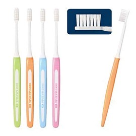Lion (Lion) Dent Maxima New Small Soft Type "no-dent. Maxima New "Pack of 12