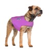 Mellow Shirt Dog Anxiety Calming Wrap