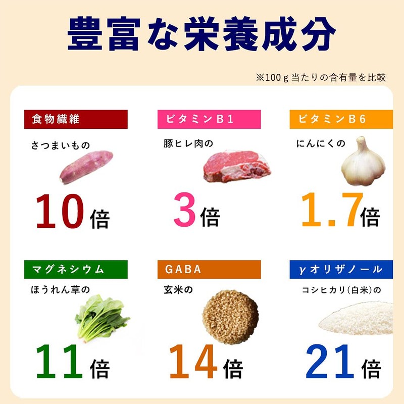 食べる 飲める 米ぬか パウダー ぬかだけん 100g 5袋セット 無添加 無着色 無香料