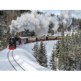 CALVENDO Puzzle Borcken Railway | 1000 Pieces Size 25" x 19"