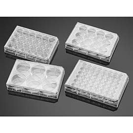 CORNING 353226 Falcon Flat Bottom TC-Treated Multiwell Cell Culture Plate with Lid, Sterile, 24 Wells, 2 cm² Cell Growth Area