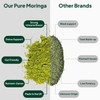 Wish Fusion Pure Moringa Leaf Capsules - High Strength Moringa