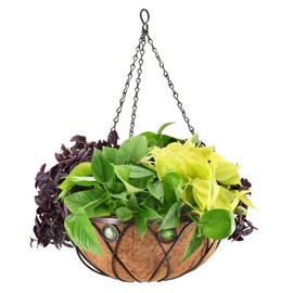 Arcadia Emerald Series Round Hanging Basket Planters, 16-Inch