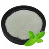 Peppermint Extract Powder 1kg