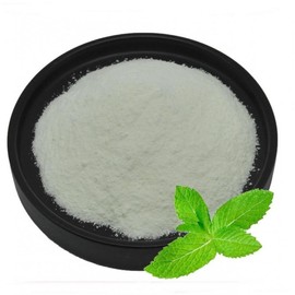 Peppermint Extract Powder 1kg
