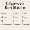 All-in-One IBS Dietary Supplements Enzymes, Peppermint, Ginger, and 8 Natural