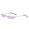 Rubitas Mini Lens Sunglasses, Small, Glasses, Casual, purple