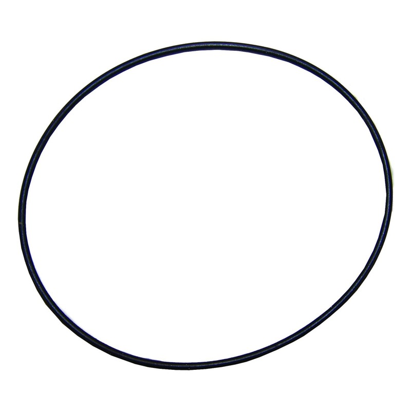 Crown Axle Housing O-Ring