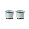 Tea Cup Set of 2 Porcelain Small Tea Cups 3.2oz