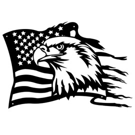 lyyochinn American Bald Eagle Metal Wall Art,American Flag Wall Decor for Fourth of July Independence Day,Patriotic Gift,Outdoor Wall Art Garage Decor Living Room Décor.(16 in x 11.4 in)