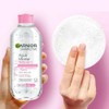 Kit Garnier Skin Active Micelar Todo en 1 400ml +