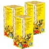 Cholenorm Phyto Concentrate Pack of 3-21 Day Course - Natural Plant Extracts - Vascular Health, Cholesterol Control