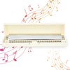 Professional Mouthorgan Harmonica Diatonic Harp C Key Stainless Steel Cover