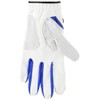 FootJoy GT Extreme Men's Golf Gloves, multicolor (white / blue)