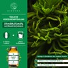 QIDOSHA Omega 3 Algae Oil Capsules Plus Vitamin D3 and