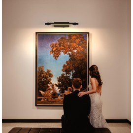 ZitoStory Battery Operated Picture Light with Remote,Wireless Dimmable Art Lights for Paintings Rechargeable Gallery Light Artwork Lighting for Canvas, Portrait (Black,16'' Inch)