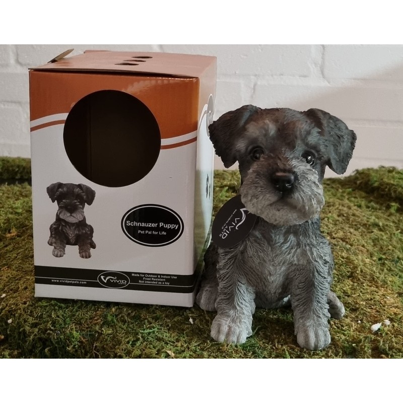 Vivid Arts Pet Pals Miniature Schnauzer Puppy PP-MINS-F