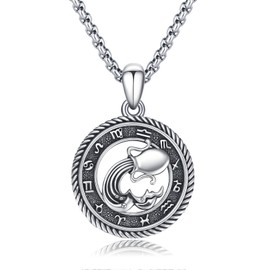 PARYFO Constellation Necklace 12 Zodiac Sign Pendant Necklace Horoscope Chain Oxidised Pendant Constellations Astrology Necklace Birthday Gifts for Women Men Unisex, Sterling Silver