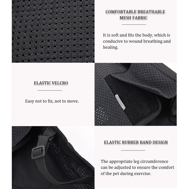 IVDD Back Brace for Dogs, Flexible Pet Dachshund Back Supporting