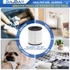 CL-6070A Replacement Filter Compatible with Tenergy Renair TAP01, Cool-Living CL-6070A,
