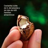 Natura - Ekos Castanha Aceite Corporal Trif sico
