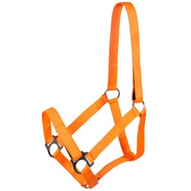 PFIFF Jocose 102921 Safety Halter Paddock Headcollar Orange Shetty