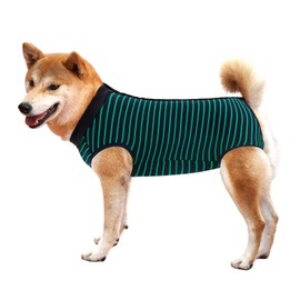 Dotoner Dog Recovery Suit Abdominal Wound Puppy Surgical Clothes Post-Operative Vest Pet After Surgery Wear Substitute E-Collar & Cone(M,Green)