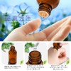 Light Blocking Jar Brown 20cc SYA-T20cc -Pack of 10 -