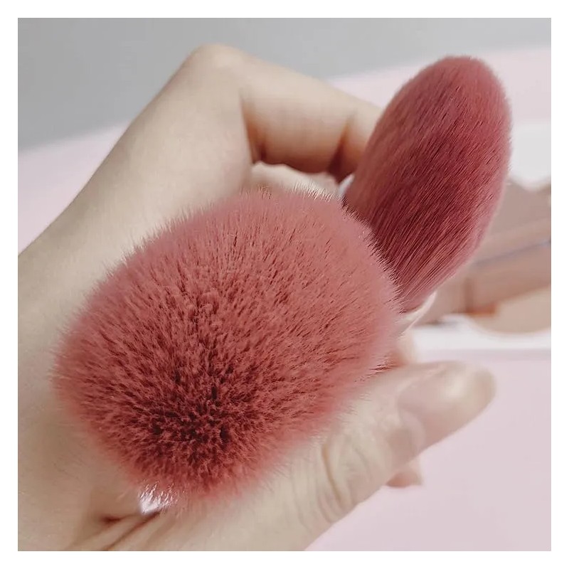 Set 5 Brochas De Maquillaje Portátil Con Estuche Y Espejo
