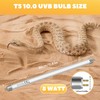 GlowUp 2Pack T5 8W 10.0 Reptile UVB Bulb 12'' UVA