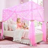 South to East Pink Canopy Bed Curtains