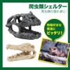 All Bright Reptile Shelter Reptile Shelter Cave Tunnel House Cave