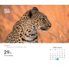 2024 Photo of the Day Box Calendar