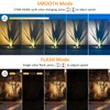CLY Solar Landscape Spotlights, Solar Lights Outdoor IP66 Waterproof, Remote