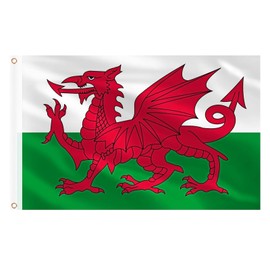 Solihigh Welsh Flag 5ft x 3ft for St.David's Day Decorations, 1Pcs Large Wales Dragon Flag Double Side with Brass Eyelets for Football Rugby Sports Events Decoration Garden Street Party Accessories