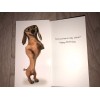 Twisted Whiskers Greeting Card w/ Envelope
