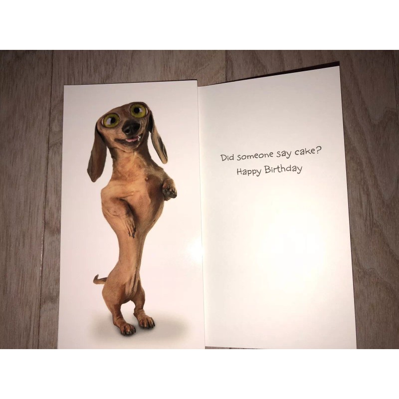 Twisted Whiskers Greeting Card w/ Envelope