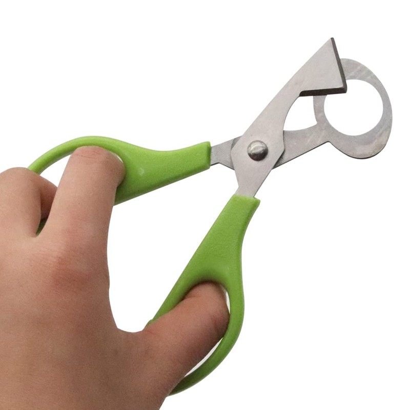 Quail Egg Scissors, Stainless Steel Egg Shell Cutter, Small Egg